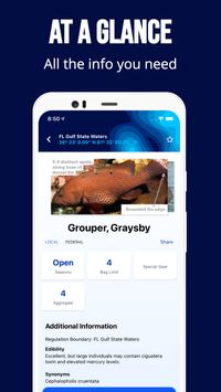 Fish Rules 截图 2