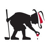 Leadbetter Kids Golf icon