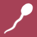 Seed