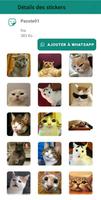 Cat Memes Stickers الملصق