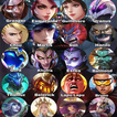 ML Skins