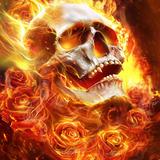 Skull Wallpaper आइकन