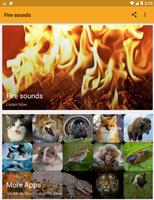 Fire Sounds Poster