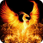 Fire Wallpaper アイコン