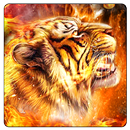 Fire Tiger Theme APK