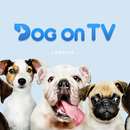 Dog TV APK