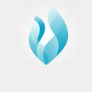 FireVPN aplikacja