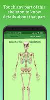 Human Skeleton Affiche