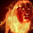Fire Lion Wallpaper APK