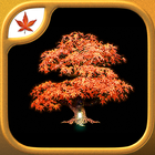 Fire Maple Games Collection icône