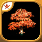 Fire Maple Games Collection ícone