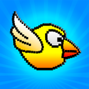 Birds Flying: Birds Games aplikacja