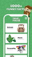 True or False Affiche