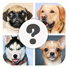 Which Dog Breed Are You? icono