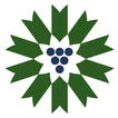 PEC Wine Explorer