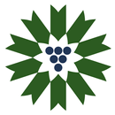 PEC Wine Explorer APK