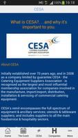 CESA 截图 1