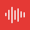 Voice Recorder APK