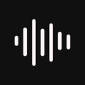 Dictaphone Pro