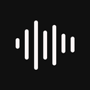 Voice Recorder Pro APK