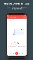 Grabador de Voz Pro captura de pantalla 2