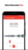 Voice Recorder Pro پوسٹر