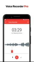 Voice Recorder Pro poster