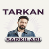 Tarkan Şarkılar 50 İnternetsiz APK