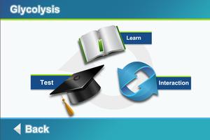 Biology Cellular Respiration screenshot 1