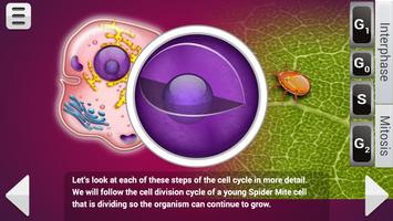 Biology Mitosis & Meiosis ảnh chụp màn hình 2