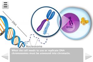 Biology Molecular Genetics imagem de tela 2