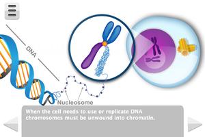 Biology Molecular Genetics скриншот 2