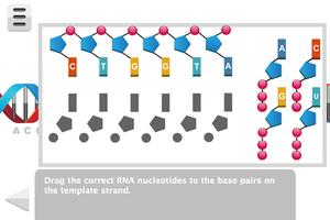 Biology Molecular Genetics imagem de tela 3