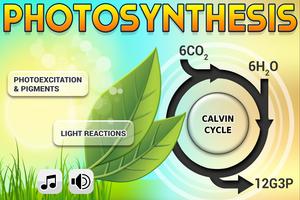 Biology Photosynthesis Affiche