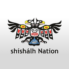 she shashishalhem icône