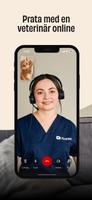 FirstVet poster