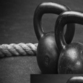 StayFit