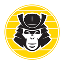 Iron Monkey Strength APK