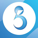 ncognito APK