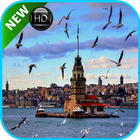 Istanbul wallpaper icon