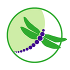 Body Bliss Connection icon