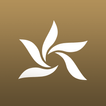 Peti element studio آئیکن