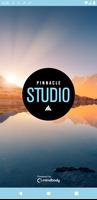 Pinnacle Studios الملصق