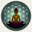 ZenVida Yoga & Fitness