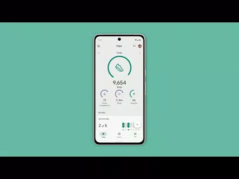 Fitbit APK