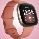 Guide for Fitbit Versa 3 APK