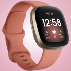 Guide for Fitbit Versa 3 icône