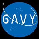 Gravity APK