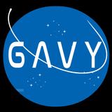 Gravity ikon