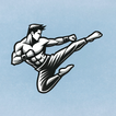 Ultimate MMA Fighting Program আইকন